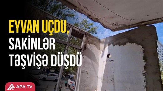 Sumqayıtda qorxunc hadisə