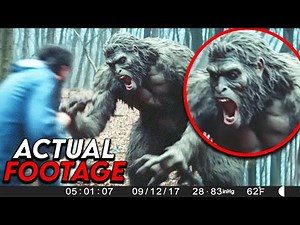 Most Disturbing Camping Moments Caught on Trail Camera