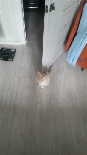 I'm falling through the floor, damn it
