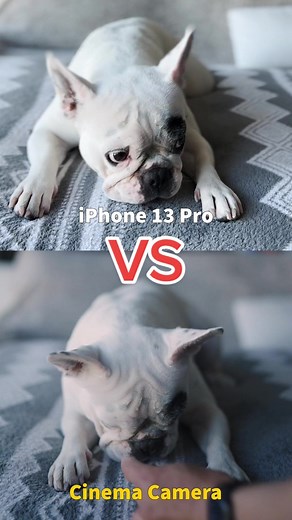iPhone 13 Pro vs Pro Max Camera Test