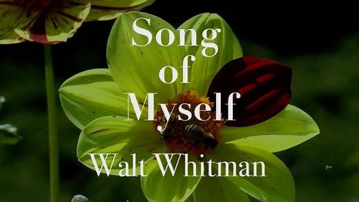 Song of myself ¶ Walt Whitman ❧ Poetry Film