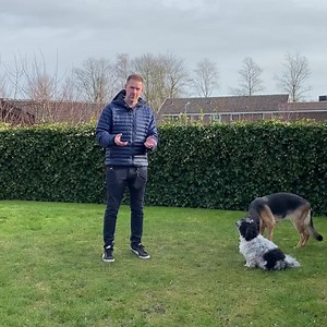 18 reactions | Et håndtarget eller target på hånd, som jeg kalder øvelsen, er efter min mening uundværlig. Øvelsen går ud på at lære din hund at dutte dig i håndfladen med sin snude. Har den først lært dette, kan du f.eks. bruge din hånd til indlæring af: ‍了 Gå pænt i line  Indkald  Forskellige tricks Er du medlem, så husk at træn med på netop target-øvelsen i Facebook-gruppen i denne uge駱 | vildmedpoter.dk | Facebook