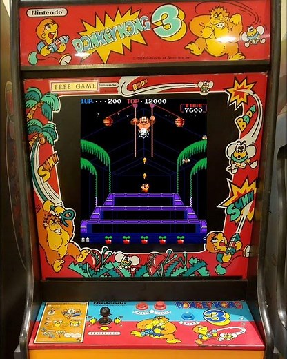 Donkey Kong 3 (Arcade 1983)