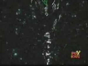 Wormmon digivolve to Stingmon