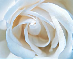 God, the Best Maker of Marriages Ecard