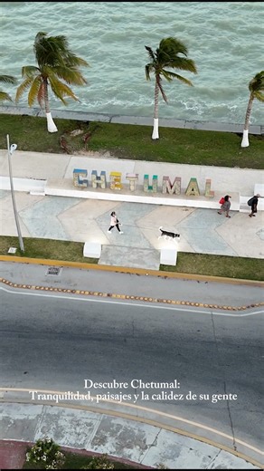 ✨ Descubre la magia natural del Boulevard Bahía de Chetumal ✨ Si buscas un destino donde la naturaleza te abrace desde el primer momento, el Boulevard Bahía de Chetumal te espera con sus paisajes encantadores y una tranquilidad que enamora. 🌿🌊 Aquí, cada amanecer pinta el cielo de colores, la brisa fresca del Caribe acompaña tu recorrido y la vegetación que rodea la bahía convierte cada paso en una experiencia única. Desde miradores con vistas espectaculares, fauna local y rincones perfectos p