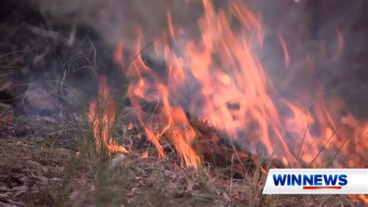 New research has uncovered how climate change is re-writing the rules of bushfire risk. Academics and government agencies joining forces to find where and when is the best time is for prescribed burns. #WINNews | Channel 8 & 80 (HD) Weeknights from 5:30pm | WIN News Canberra