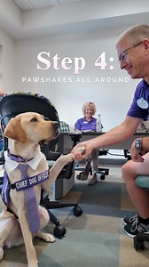 Our C-Suite has a new top dog! CDO Dave’s busy making the rounds and shaking paws with the rest of leadership—boosting smiles and tail wags by 200%. 📈🐶 VD: A yellow Labrador dog wears a white collar, a purple striped tie, and purple coat that says, "Chief Dog Officier" in white text. The Labrador runs down a hallway into a boardroom. Text on the screen reads, "An Executive Meeting with CDO Dave." The dog sits at the conference table with paperwork in front of him. Text on the screen reads, "St