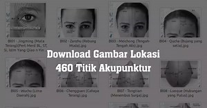 Temukan dan Unduh 460 Titik Akupunktur: Panduan Lengkap Lokasi Terapi - Terapijarum