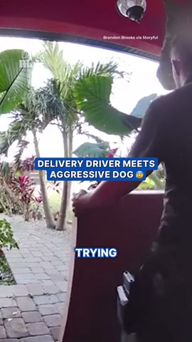 UPS driver takes cover from aggressive dog during delivery