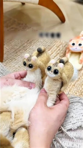 Cats loved her socks… so she made them slippers 🐾#trendingshorts