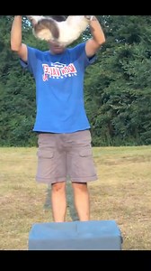 37K views · 150 reactions | "Ever wonder why cats always land on their feet? ✨ Discover the secret behind their perfect landing – the righting reflex!" #CatFacts 2. #RightingReflex 3. #AnimalScience 4. #PerfectLanding 5. #AmazingNature #reelsfbシ | Manish Kumar Gupta | Facebook