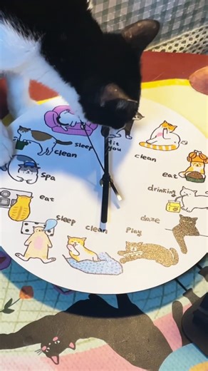 ⏰ Time well spent — cat edition! 🐾🐱 Each hour on this custom clock tells a different cat story — from eating to napping to playing — all brought to life with UV printing on the eufyMake E1. Shoutout to teammate's kitties for their purr-fect appearance! 🐾 #eufyMake #UVPrinting #CatLovers #eufyMakeE1 #MakersGonnaMake #CustomDesign | eufyMake