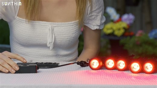 Watch RGBW Color Changing Landscape Lights on Amazon Live