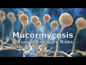 Mucormycosis and Fungal Exposure Risks
