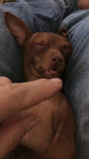 "⚙️⚙️🕹️ Robots that resemble people 🖲️🖲️🔬 #anime #arduino #arduinoproject #artist #artistsoninstagram #artwork #digitalart #drawing #engineering #illustration #interiordesign #love #mecha #robot #robotarm #robotart #robotconcept #robotdesign #robotech #robotgirl #robotic #robotica #robotics #robots #robotsindisguise #robotsofinstagram #rust #space #toys #facebookreelscontest20 | Labol