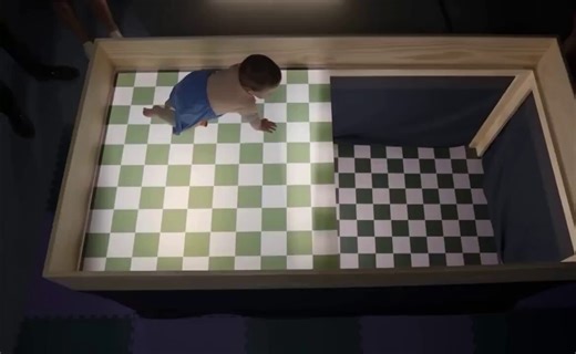 Para comprobar si los bebés perciben la profundidad y sufren acrofobia, los observamos gateando sobre un cristal...