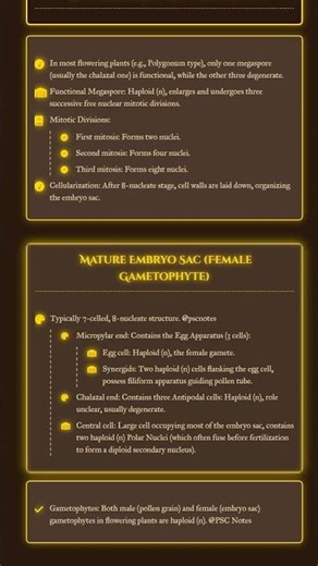 Megasporogenesis and Embryo Sac Development