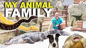 Meet All My Animals! (FULL Animal Tour) | Corbin Maxey