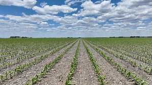 Audubon County, Iowa | Farmland Prices, Auctions, Appraisals