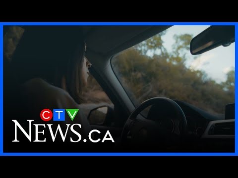 Changes coming to Alberta licences | CTV News Calgary Noon Update for Sept. 15, 2025