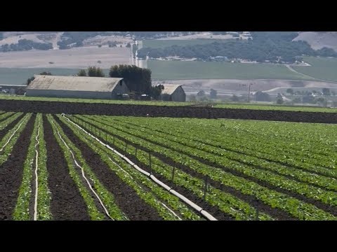 Top 5 Things you didn’t know about the Salinas Valley, CA