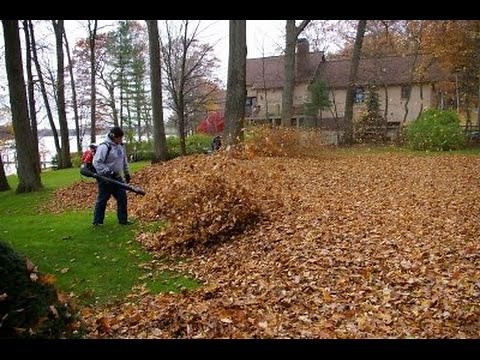 Redmax EBZ8500 Blowing Leaves/ Lawn Care Vlog