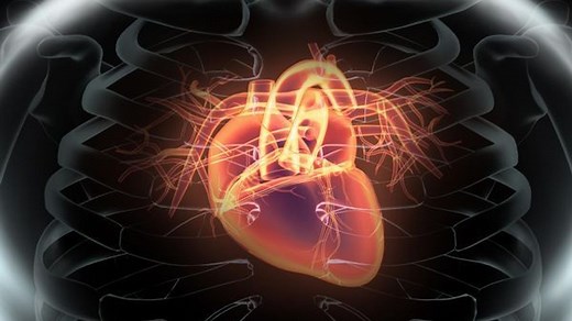 La scintigraphie cardiaque