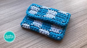 MINI ESTUCHE multiuso ✅ puntada cuadricula a CROCHET paso a paso | Lanitas y Colores Crochet
