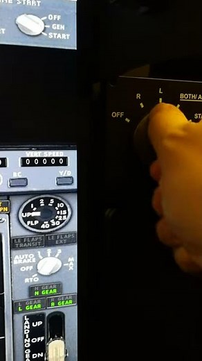 Saitek Switch Panel Work as Autobrakes