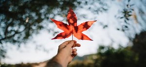 What Is The IELTS Score To Immigrate To Canada For Nurses?