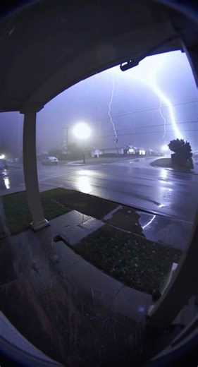 Lightning Hit the Tree Across the Street ⚡
