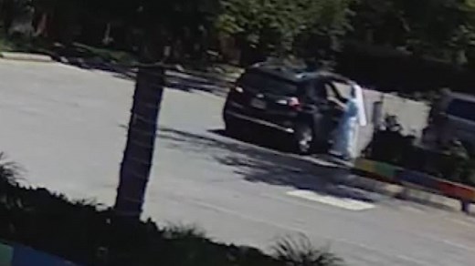 Video shows nun being robbed of necklace in Markham distraction theft