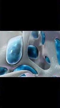 Endochondral Ossification: Bone Formation Process Explained (Hindi) 🦴👨‍⚕️