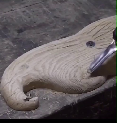 Hardware Tools on TikTok