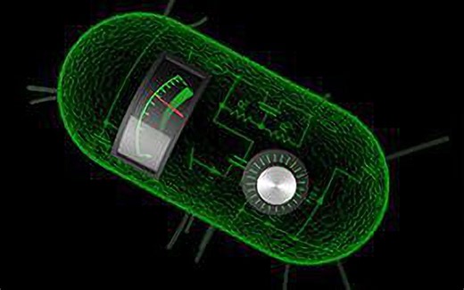 【公开课】合成生物学 Principles of Synthetic Biology / MITx / 720P / 英文字幕