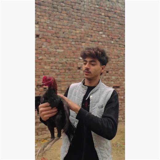 Understanding Account Recovery Options