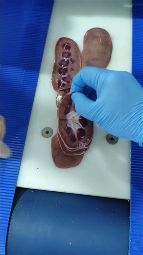 Fully Automatic Fresh Meat Slicing Machine #Chicken Breast Salmon Cutter Slicer