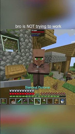 i swear all minecraft villagers are nitwits at heart