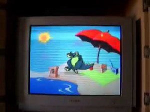 Publix Bumper: Beach