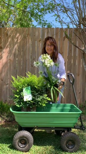 Spring planting really can be this easy 😌