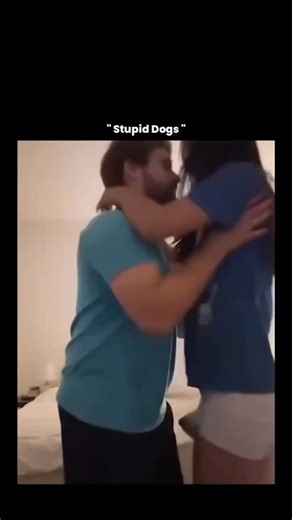 GLOBAL REEL HUB™ on Instagram: "This video captures a subtle but fascinating example of canine social behavior, where a dog appears to place its paw into a human’s hand while holding a leaf, a moment that reflects how dogs communicate trust, curiosity, and learned responses rather than true “gift-giving” in the human sense. Dogs use their paws as a primary tool for interaction—pawing is commonly associated with seeking attention, reassurance, or reinforcing a bond, and research shows it often ac