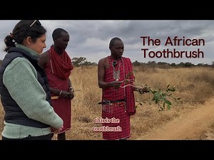 The African Toothbrush | How the Maasai Keep Their Teeth Clean Naturally