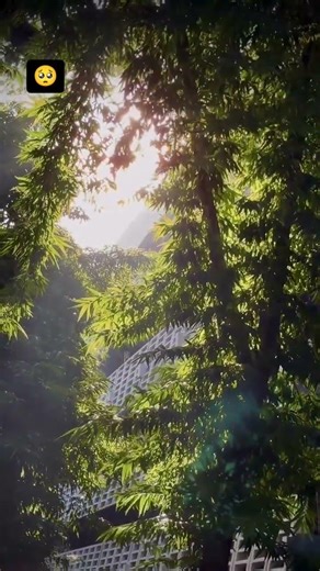 BUET Campus Tour 2026 | বুয়েট ক্যাম্পাস ট্যুর ২০২৪! #buet#short#Buet campus