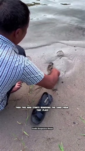 This man saved the turtle's life 😱