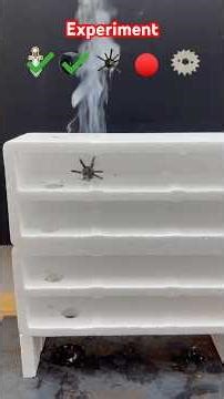 Wait For End 🤪 #shorts #viral #youtubeshorts #shortsfeed