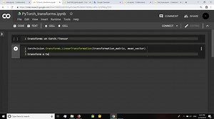 PyTorch torchvision transforms #2