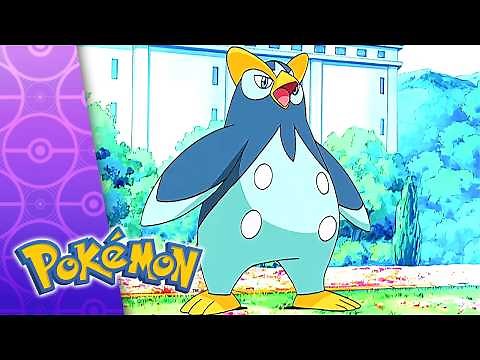 Getting The Pre-Contest Titters! | POKÉMON FULL EPISODE 26 | Season 10