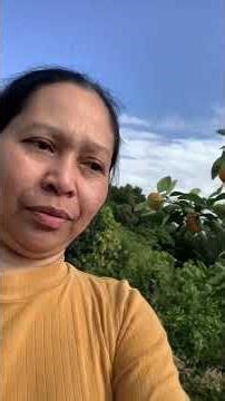 Oranges farm #orangefruit #japanfarming #shortvideo