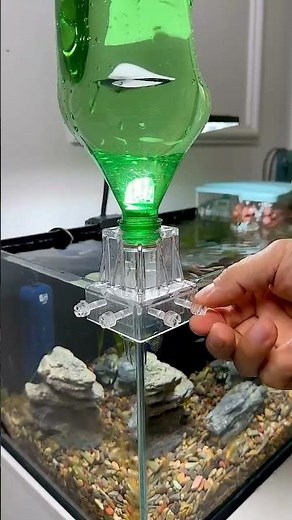 BEST Way ecosystem Fishtank 🐟 #trending #aqurium #fishaquarium #fishtanksetup #fish #shortsfeed #diy